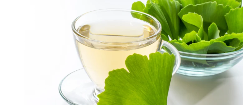 Ginkgo biloba listy a čaj v sklenici