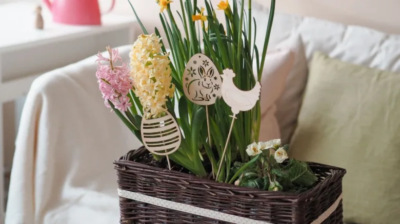 Květiny v truhlíku s easter dekorací na pohovce