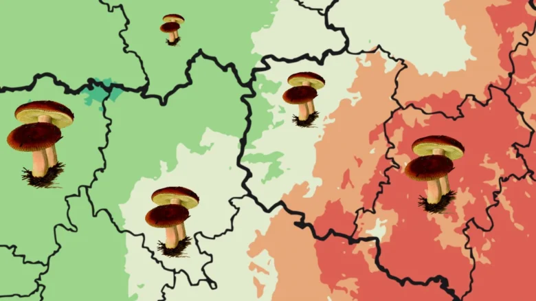 Mapa s hubami v různých oblastech – pravděpodobnost růstu