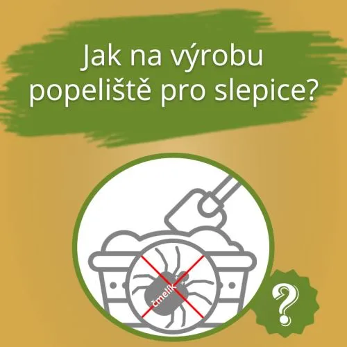 Jak vyrobit popeliště pro slepice - infografika s otázkou