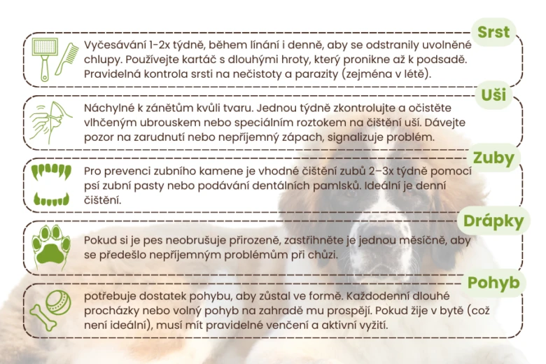 Infografika s tipy na péči o psa: srst, uši, zuby, drápy a pohyb