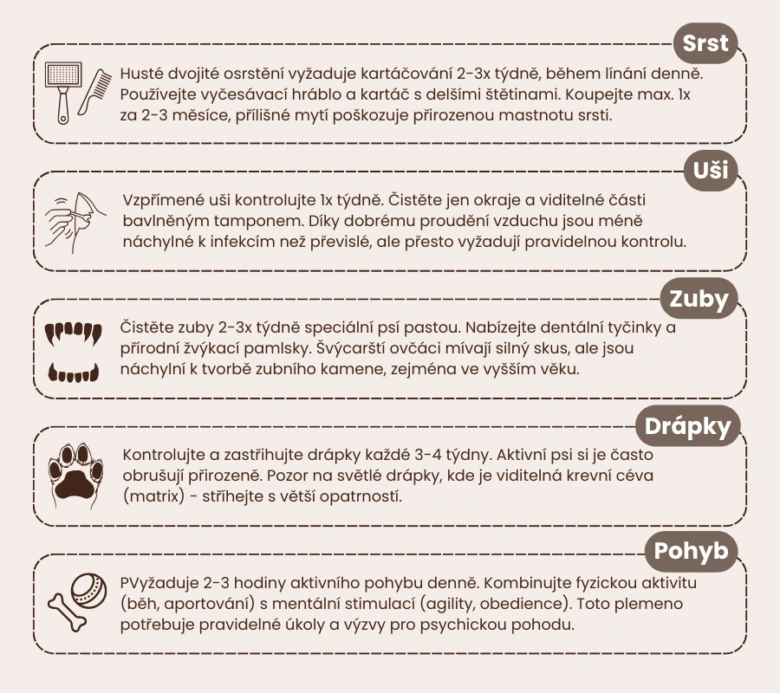 Infografika s tipy na péči o psa: srst, uši, zuby, drápy a pohyb