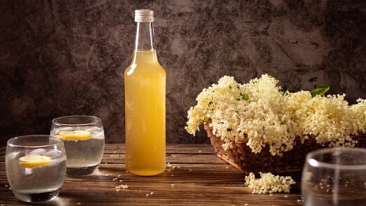 Bezový sirup v lahvi s květy bezu a připravenými nápoji
