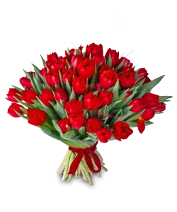 Kytice červených tulipánů s červenou mašlí