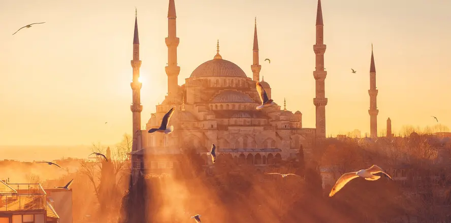 Modrá mešita v Istanbulu při západu slunce s létajícími ptáky