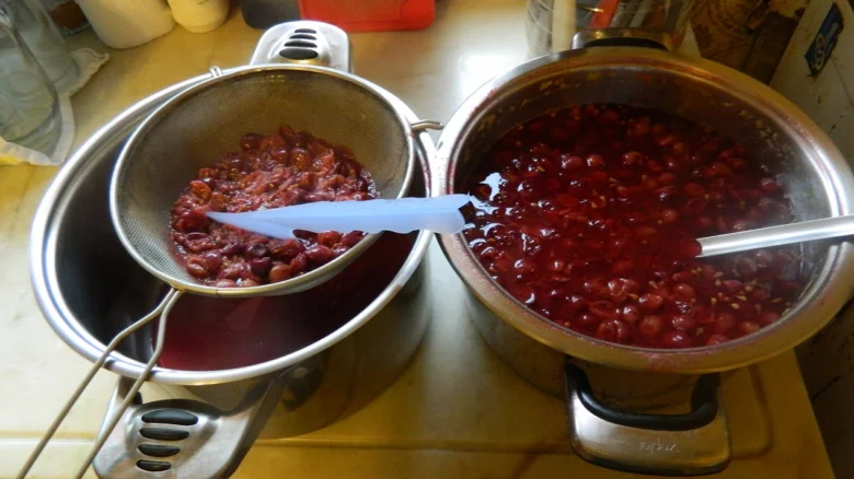 Příprava marmelády z hroznového vína - sítí se odšťavňuje.