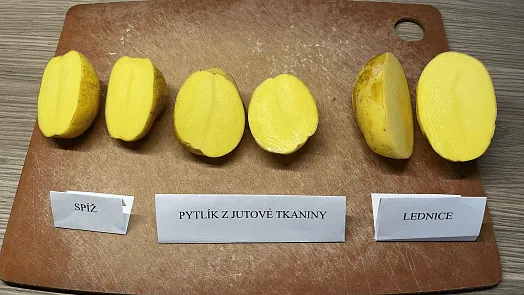 Porovnání skladování brambor v spíži, pytlíku z jutové tkaniny a lednici