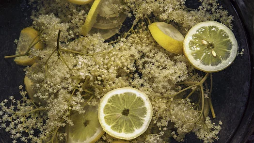 Bezové květy a řezané citrony pro domácí sirup