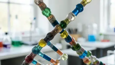 Co je deoxyribonukleová kyselina a její funkce - ilustrační foto