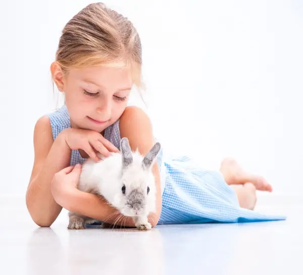 Dívka hladí malého bílého králíčka na světlém pozadí.