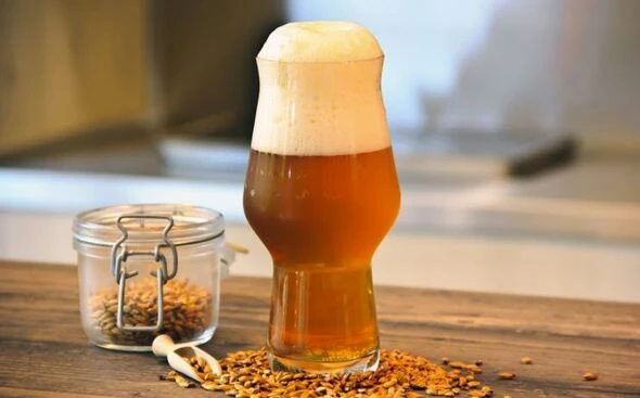Beer with hops and jar