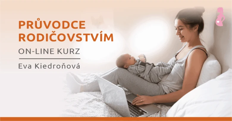 Matka s novorozencem na lůžku používá počítač.