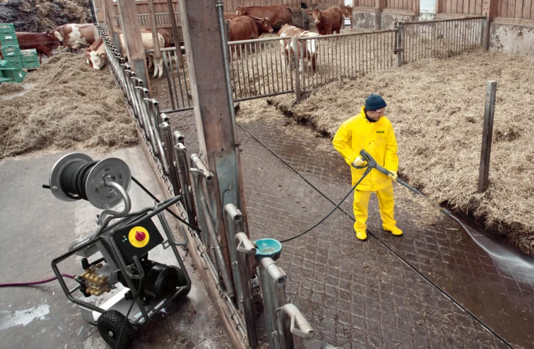 Farmař v ochranném obleku umývá podlahu stáje pro skot.