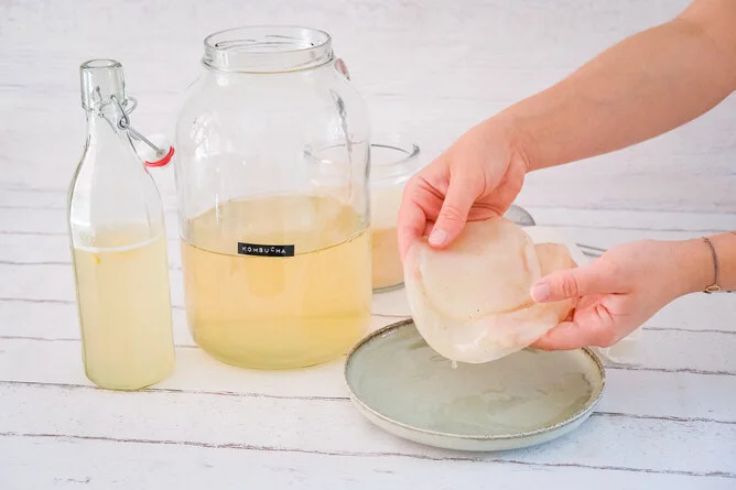 Ruce drží SCOBY nad talířem s nádobami kombuchy na bílém dřevěném povrchu.