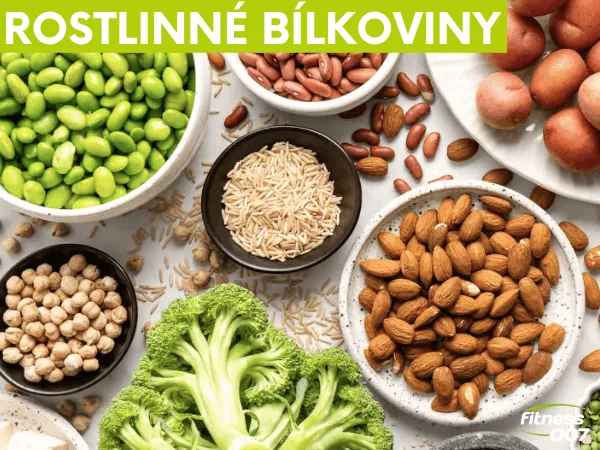 Různé rostlinné zdroje bílkovin jako sója, ořechy a zelenina.